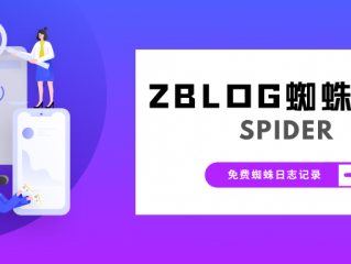 分享一款蜘蛛日志记录插件